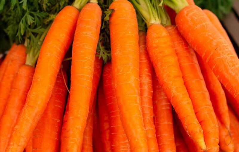 orange carrots on green grass